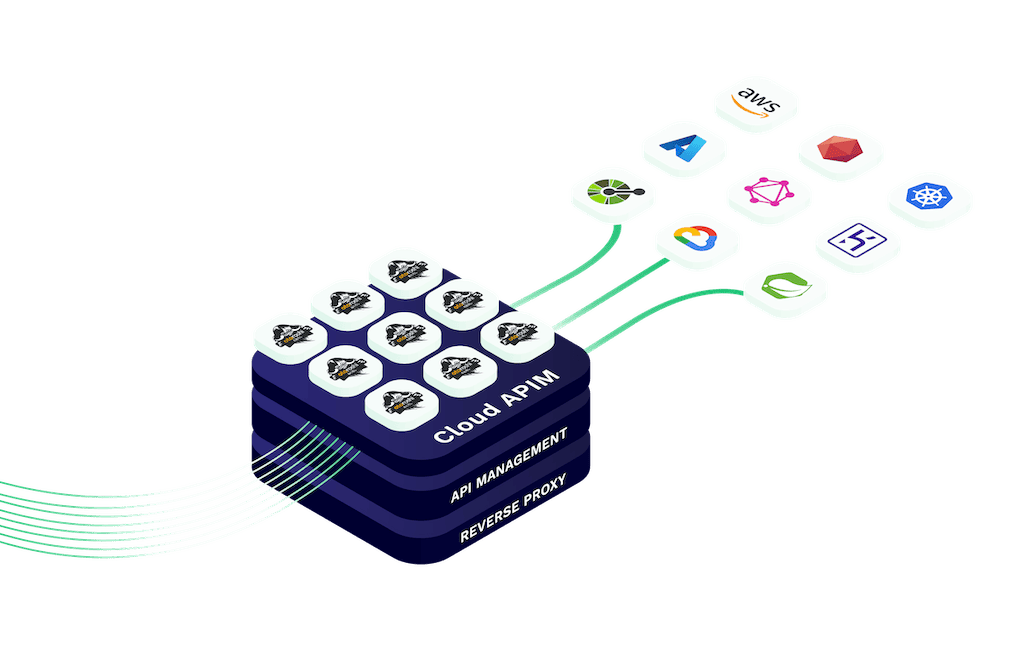 an overview of a typical architecture using cloud apim to access various backend hosted on various providers